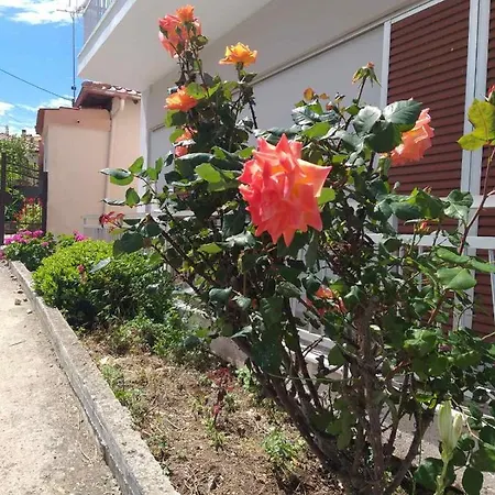 Apartament 